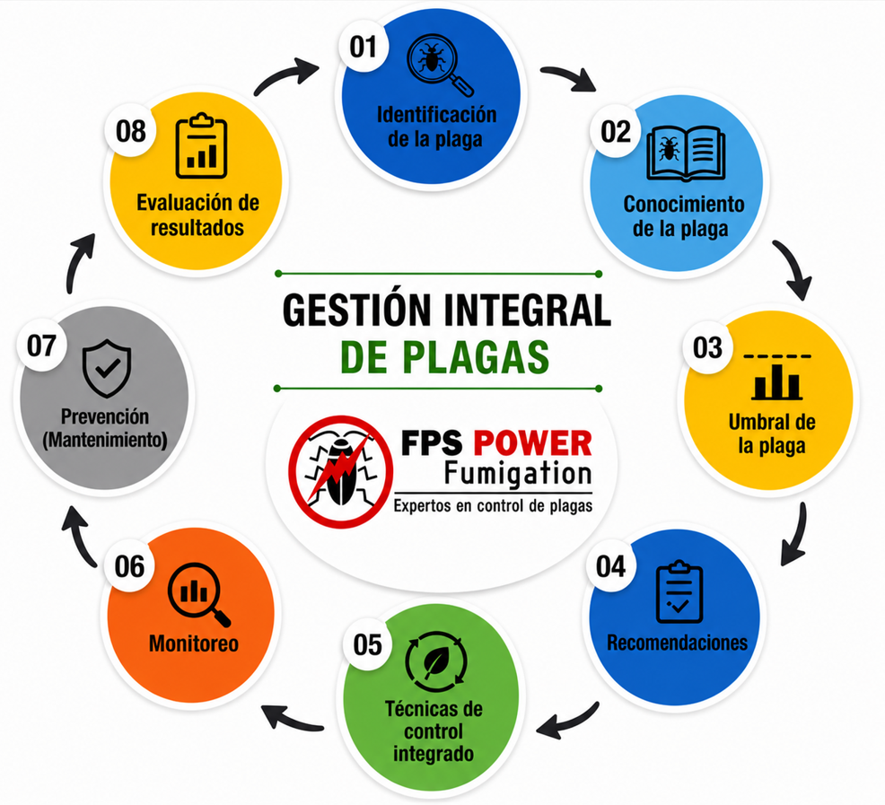 Servicio profesional de gestión integral de plagas